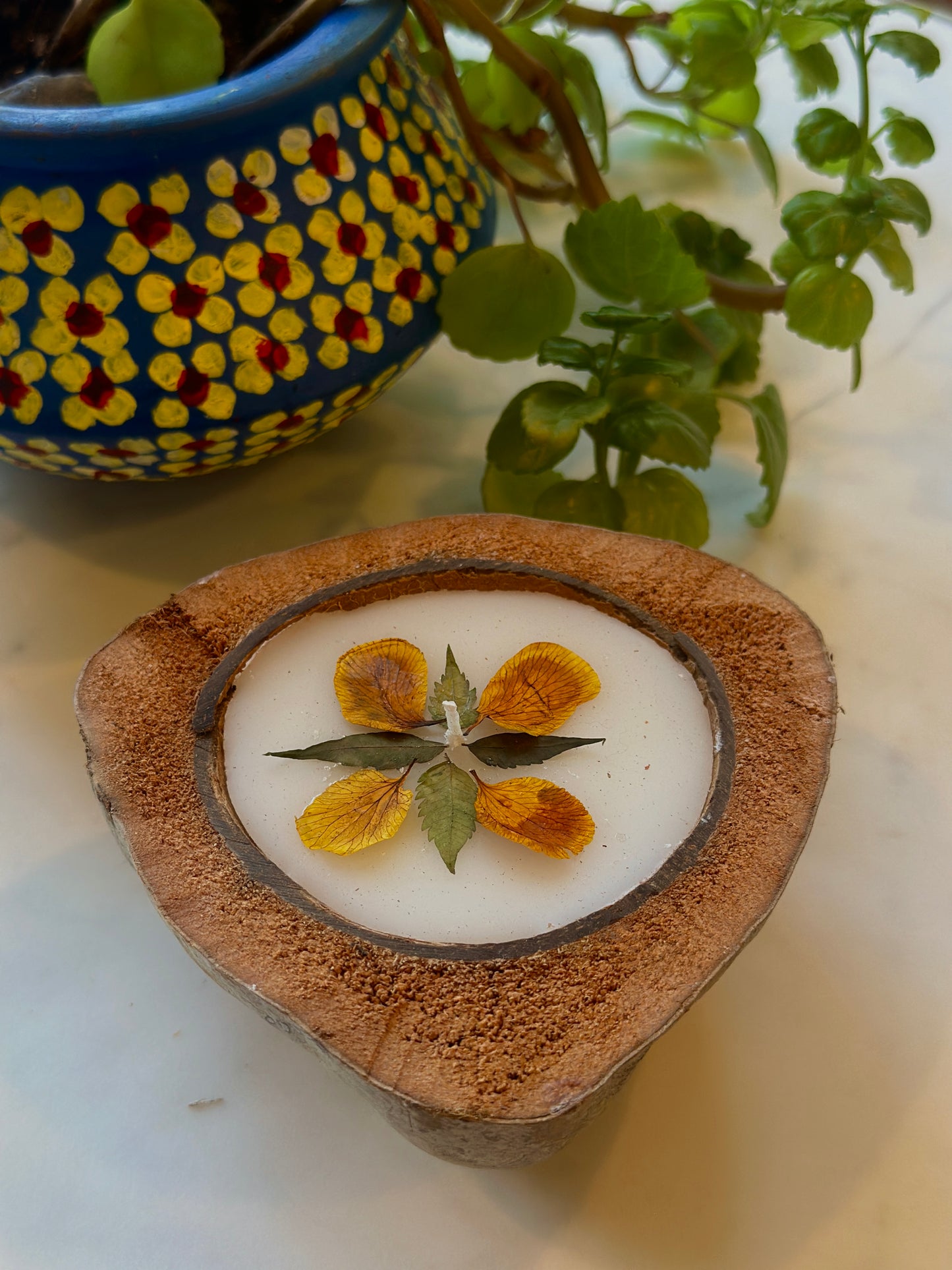 a handmade candle set in a coconut shell with dried flowers