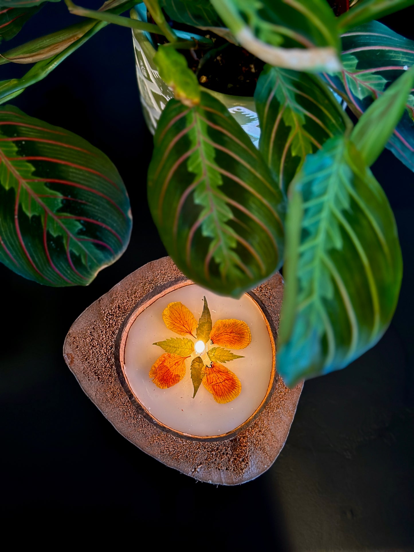 coconut candle with dried flowers