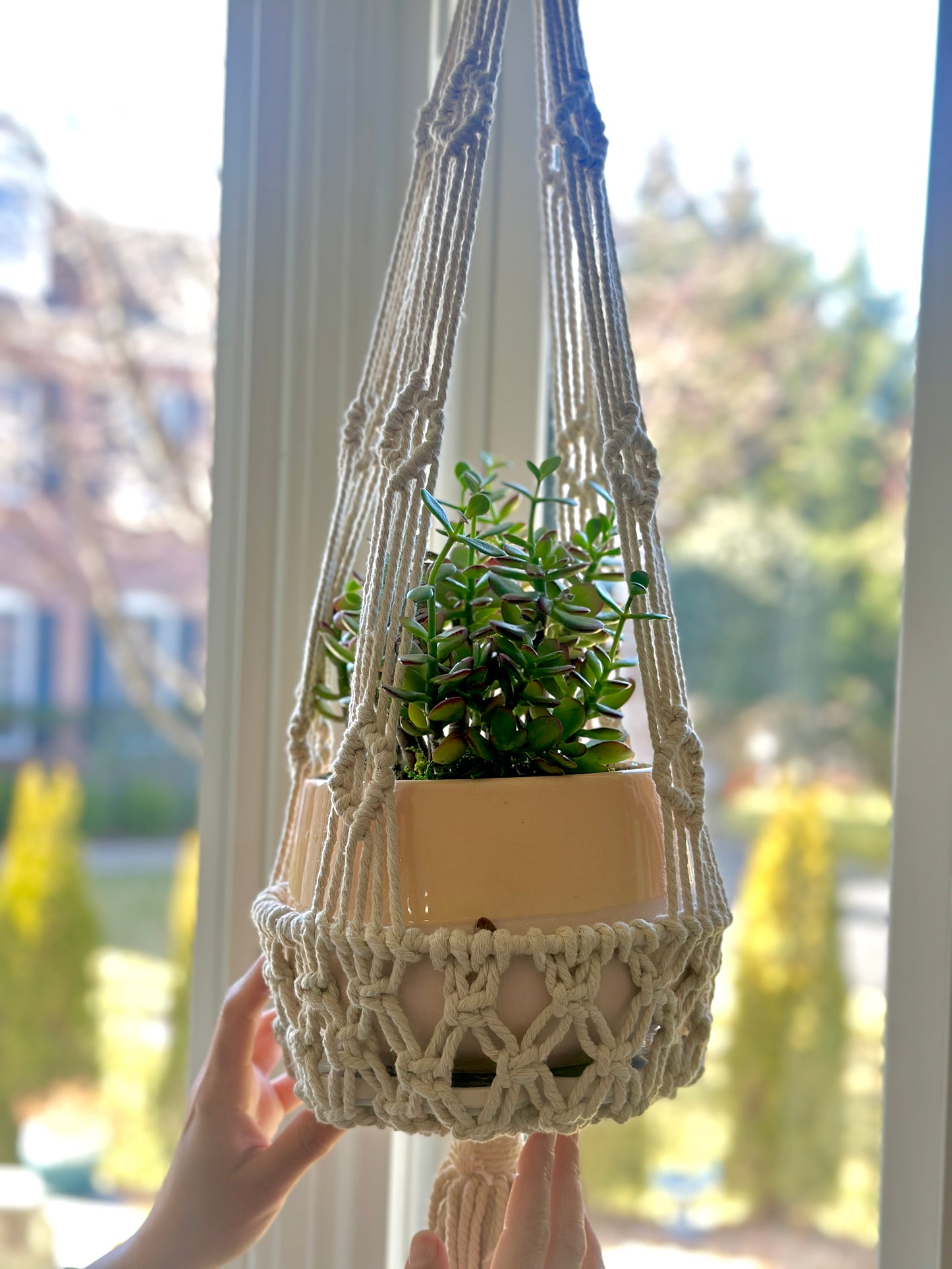 beautiful handmade macrame hanger containing a plant hung on a window sill